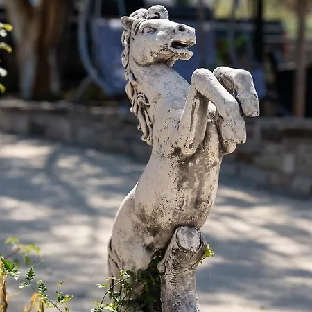 Caretta Village Torone